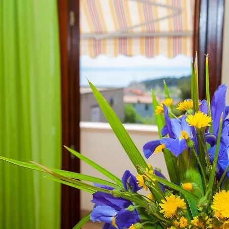 Appartement Centar *